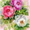 Pink and White Flowers Paint By Numbers