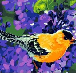 Pretty Songbirds Paint By Numbers