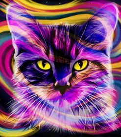 Purple Cat Paint By Numbers