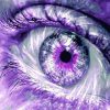 Purple Eyes Paint By Numbers