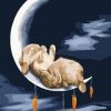 Rabbit at Moon Paint By Numbers