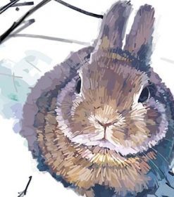 Rabbit in Snow Art Paint By Numbers