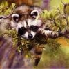 Raccoon Paint By Numbers