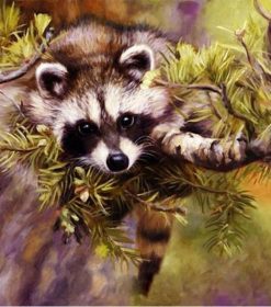 Raccoon Paint By Numbers