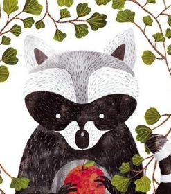 Raccoon and Apples Paint By Numbers