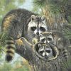 Raccoons Family Paint By Numbers