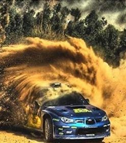 Rally Car Paint By Numbers