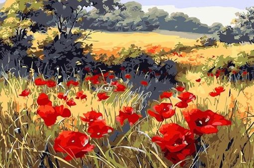 Red Poppy Flowers Field paint by numbers