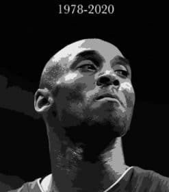 Rest In Peace Kobe Paint By Numbers