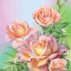 Rose Flowers Arrangement Paint By Numbers
