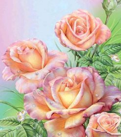 Rose Flowers Arrangement Paint By Numbers