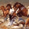 Running Horses In Water Paint By Numbers