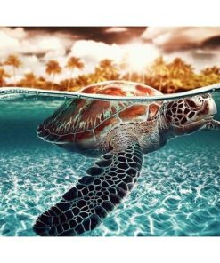 Sea Turtle Undersea Paint By Numbers