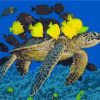Sea Turtle and Yellow Fish Paint By Numbers