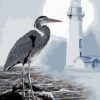 Seabirds Lighthouse Paint By Numbers