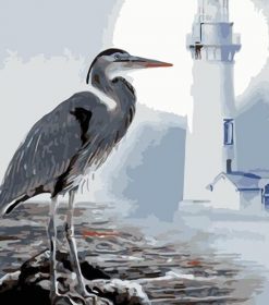 Seabirds Lighthouse Paint By Numbers