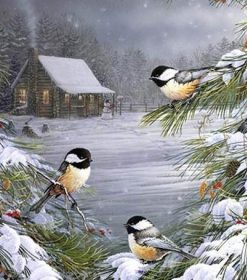 Snow Birds Paint By Numbers