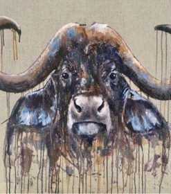 Splatter Buffalo Paint By Numbers