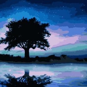 Starry Tree Nightscape Paint By Numbers