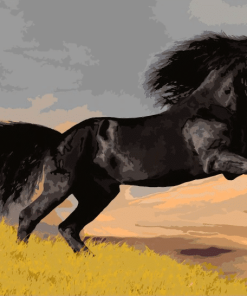 Strong Black Horse Paint By Numbers
