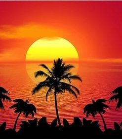 Sunset Island Palm Trees Paint By Numbers
