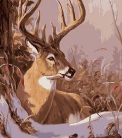 The Buck in the Snow Paint By Numbers