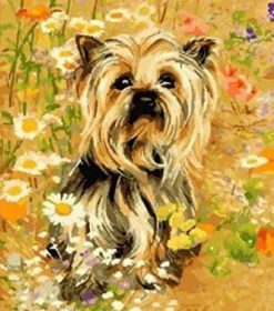 The Yorkshire Terrier Dog Paint By Numbers