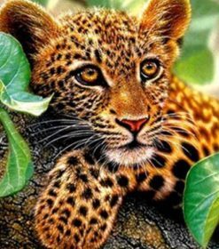 Tree Leopard Paint By Numbers