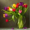 Tulip Flowers Paint By Numbers