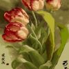 Tulip Flowers Spring Paint By Numbers