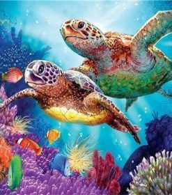 Turtle Couple Paint By Numbers