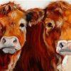 Two Brown Cows Paint By Numbers