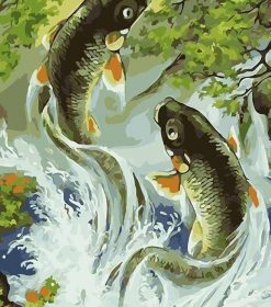Two Koi Fish Paint By Numbers
