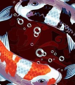 Two Koi Fishes Paint By Numbers