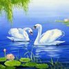 Two Lovely White Swan Paint By Numbers