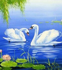Two Lovely White Swan Paint By Numbers