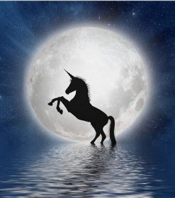 Unicorn Full Moon Paint By Numbers