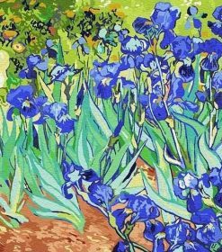 Vincent Van Gogh Irises Paint By Numbers