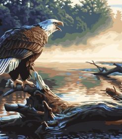 Water Eagle Paint By Numbers