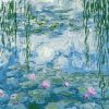 Water Lilies Nympheas Claude Monet Paint By Numbers