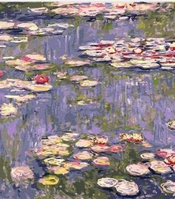 Water Lilies Pond Claude Monet Paint By Numbers