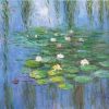 Water Lily Claude Monet Paint By Numbers