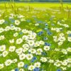 White Daisy Flower Field Paint By Numbers