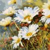 White Daisy Flowers Paint By Numbers