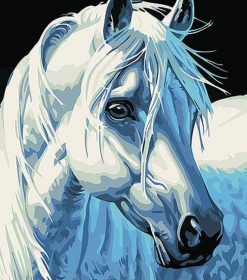 White Horse Portrait Paint By Numbers