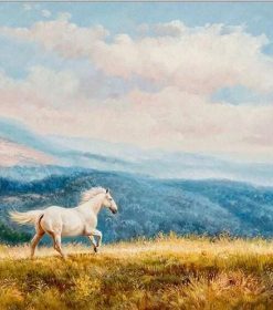 White Horse Running in Wild Paint By Numbers
