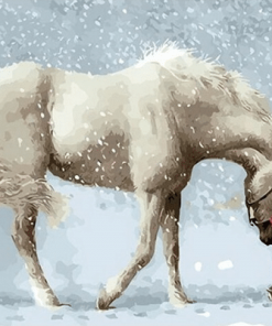 White Horse in Snow Paint By Numbers