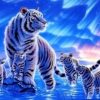 White Night Tiger Paint By Numbers