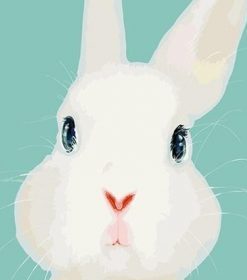 White Rabbit Animal Paint By Numbers