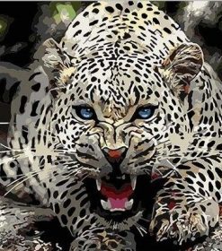 Wild Blue Eyed Jaguar Paint By Numbers
